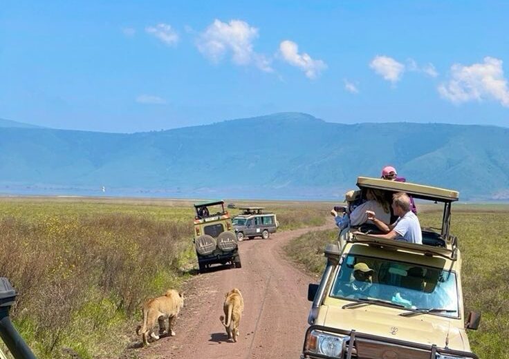 2 Days Ngorongoro Crater safari