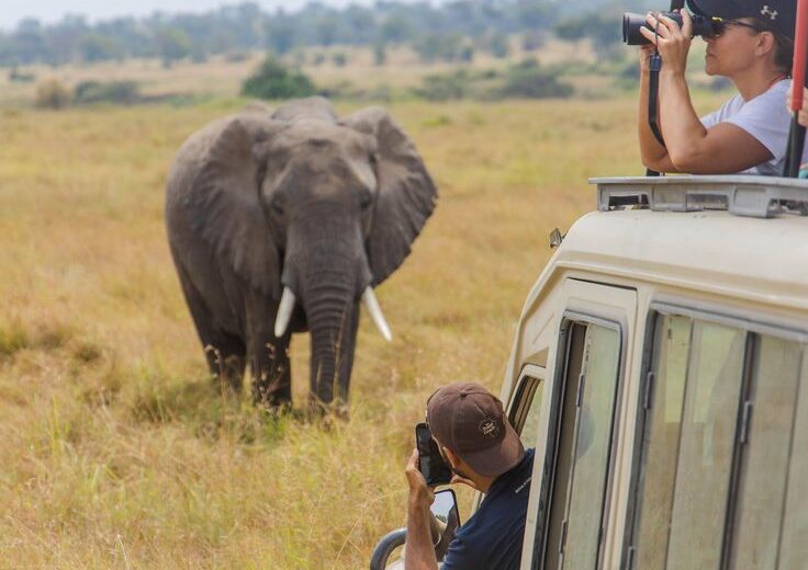 4 Days Tanzania Short Safari