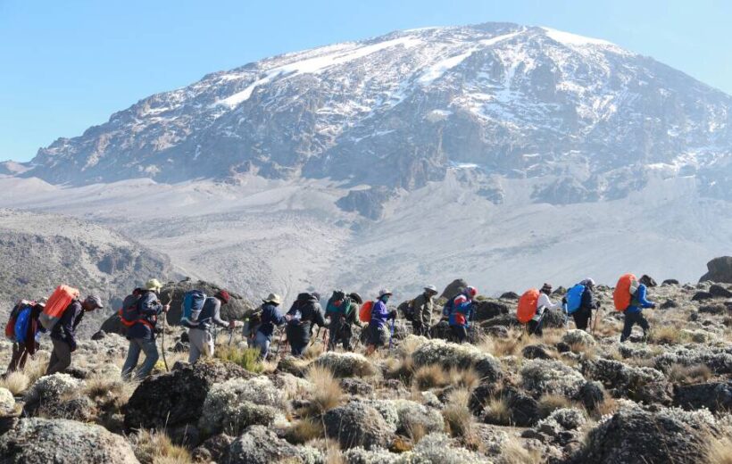 8 Days Lemosho Route Trek