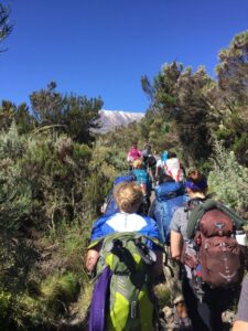 Kilimanjaro Day Hike (Mandara Hut Route)