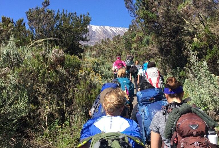 Kilimanjaro Day Hike (Mandara Hut Route)