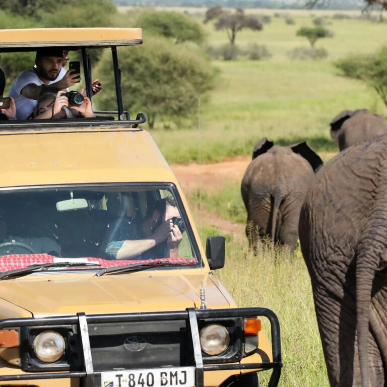 Safari in Serengeti